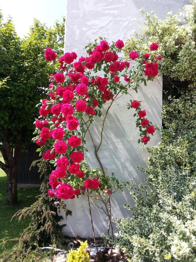 Paderno B&B La Casa Di Loretta المظهر الخارجي الصورة